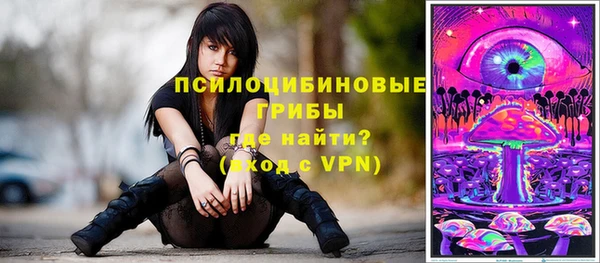 MDMA Premium VHQ Каменногорск