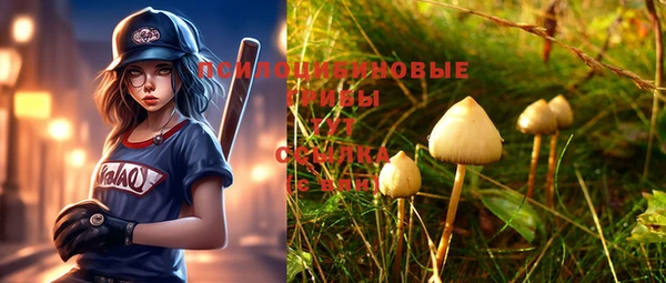 MDMA Premium VHQ Каменногорск